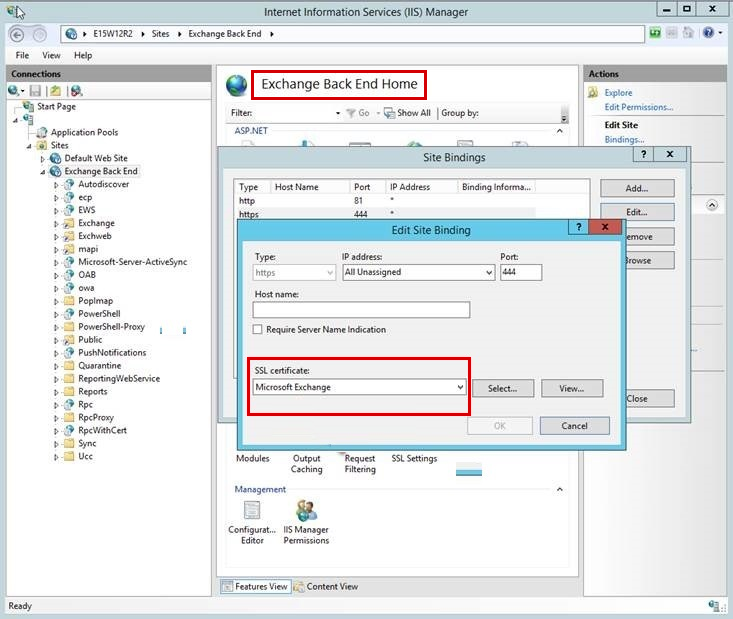 Screenshot that shows Microsoft Exchange is selected as the S S L certificate for the S S L binding for the Exchange Back End site on the Mailbox server.